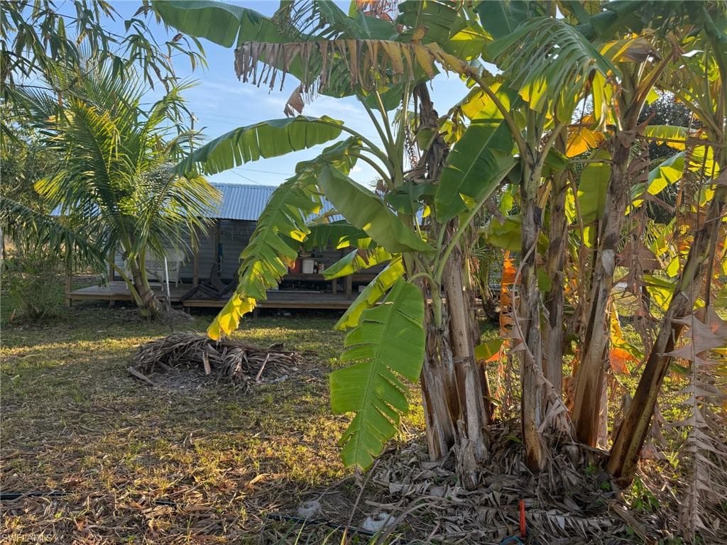 6724 5th RD LABELLE, FL 33935