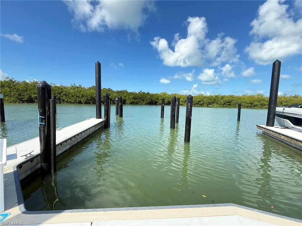 13115 Vanderbilt RD NAPLES, FL 34110