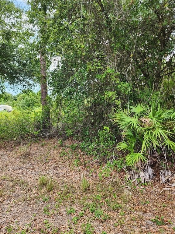 1114 MCKINLEY AVE LEHIGH ACRES, FL 33972