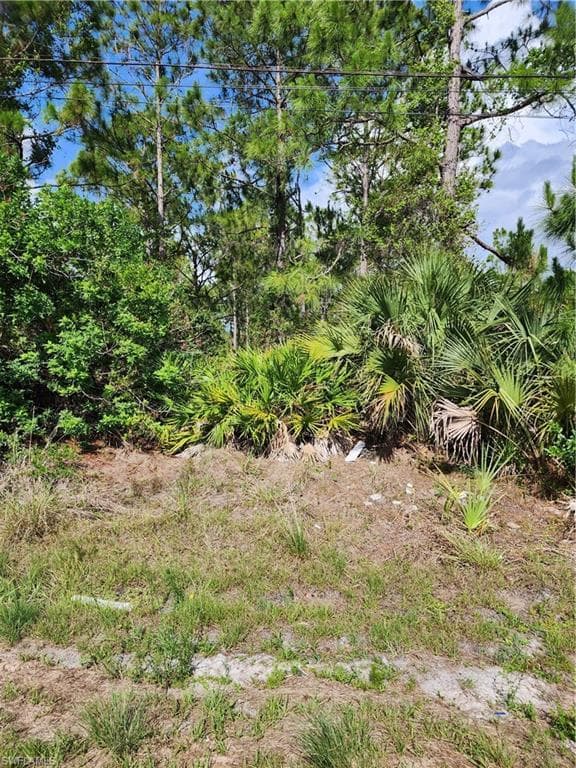 1016 RUSH AVE LEHIGH ACRES, FL 33972