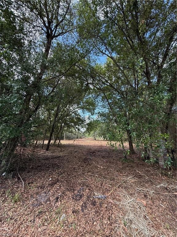 858 Woodland BLVD CLEWISTON, FL 33440