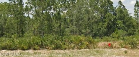 3011 W Dixon RD AVON PARK, FL 33825
