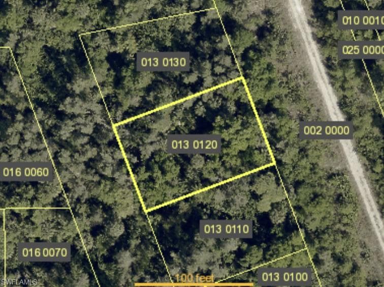 Carmela Rocco AVE ESTERO, FL 33908