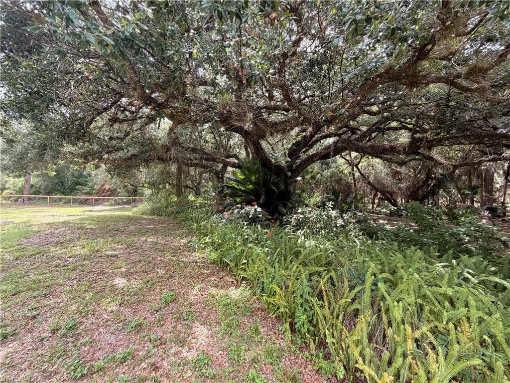 18251 Persimmon Ridge RD ALVA, FL 33920