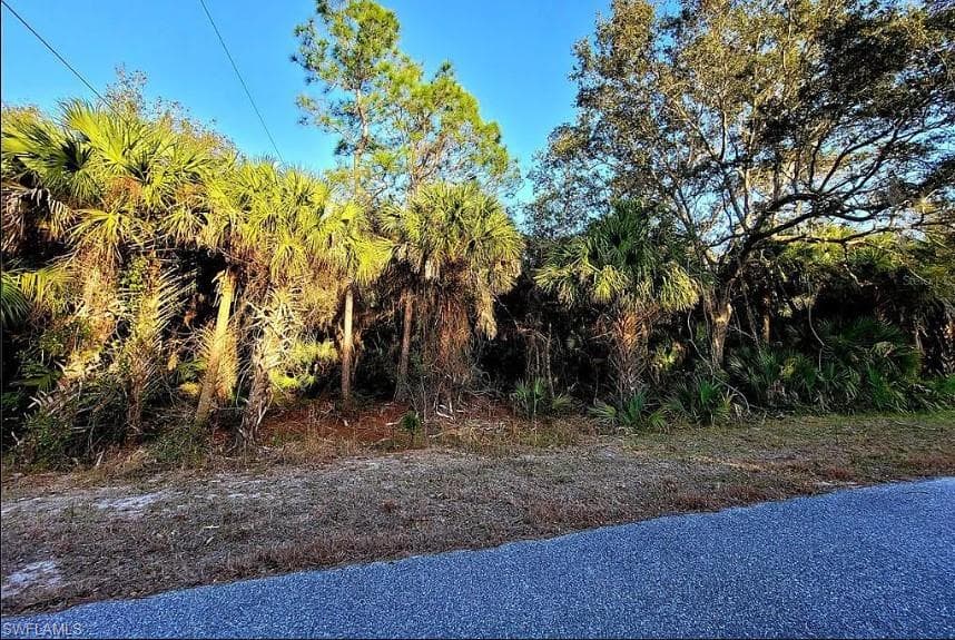 3120 Olney ST PORT CHARLOTTE, FL 33948