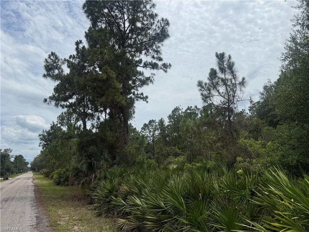 2111 Johns AVE ALVA, FL 33920