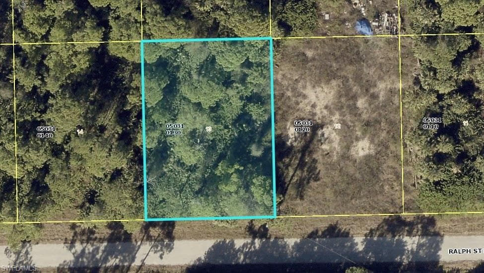 1115 Ralph ST E LEHIGH ACRES, FL 33974