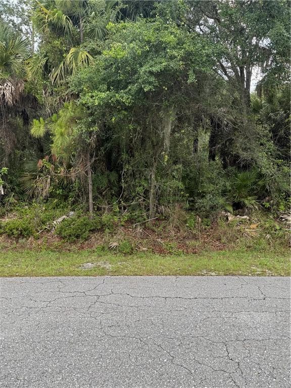 703 Cleveland AVE LEHIGH ACRES, FL 33972