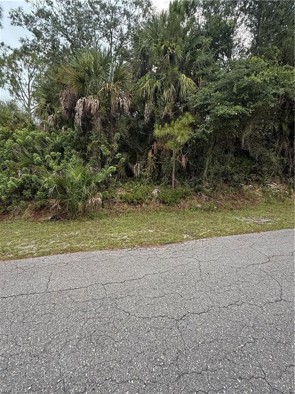 705 Cleveland AVE LEHIGH ACRES, FL 33972