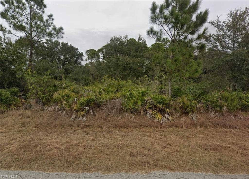 3905 E 21st ST ALVA, FL 33920