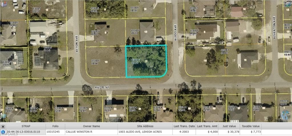 1003 Alido AVE LEHIGH ACRES, FL 33971
