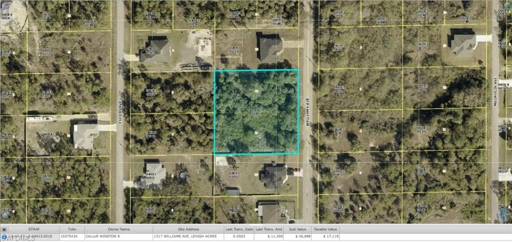 1317 Williams AVE LEHIGH ACRES, FL 33972