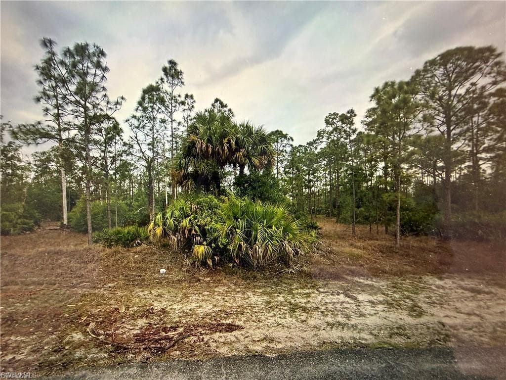1415 Sheldon AVE LEHIGH ACRES, FL 33972