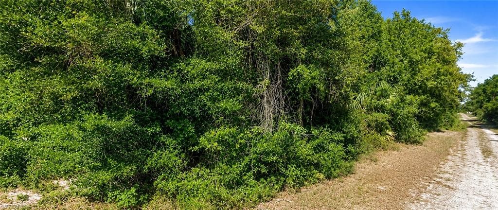 5900 Vera AVE N LEHIGH ACRES, FL 33971