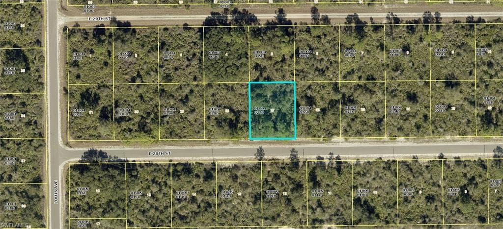 4199 E 28th ST ALVA, FL 33920