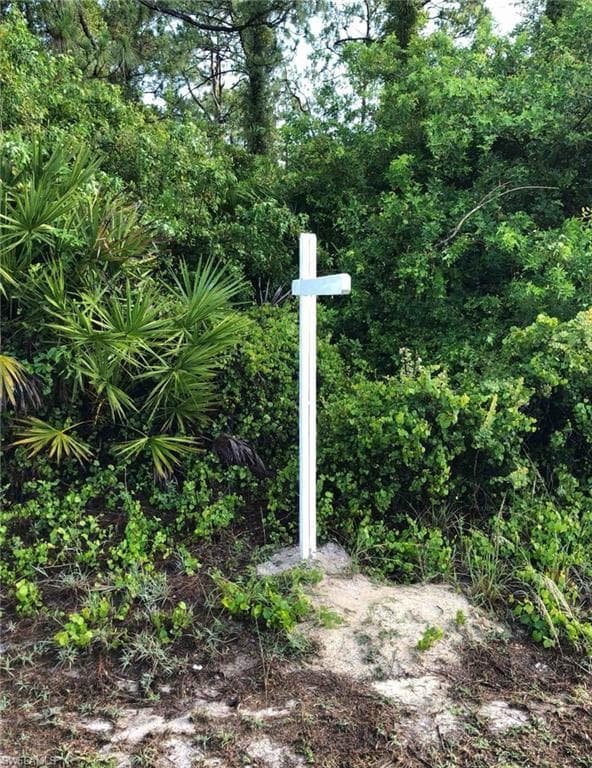 1003 E 16th ST LEHIGH ACRES, FL 33972