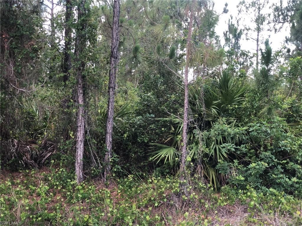 815 State AVE LEHIGH ACRES, FL 33972