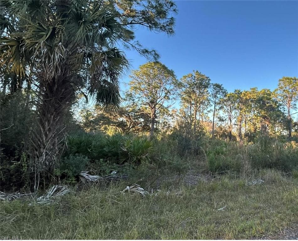 1945 Roderick LN LEHIGH ACRES, FL 33972