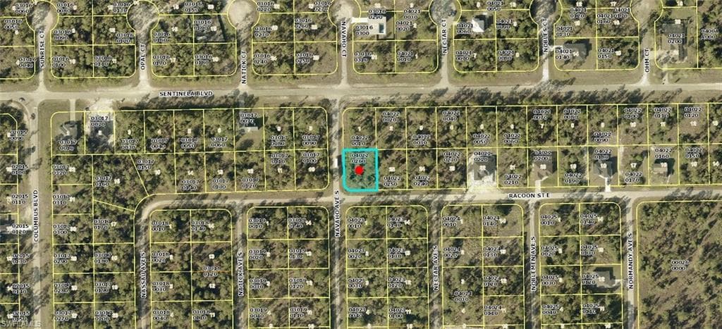 1223 Racoon ST E LEHIGH ACRES, FL 33974