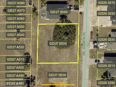 3106 NE Juanita PL CAPE CORAL, FL 33909