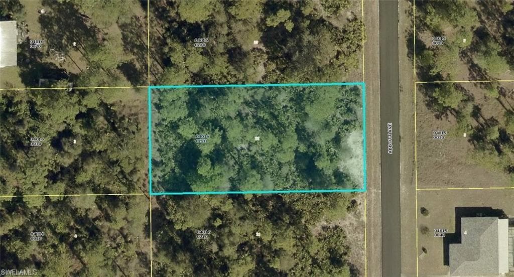 119 Abbott AVE LEHIGH ACRES, FL 33936