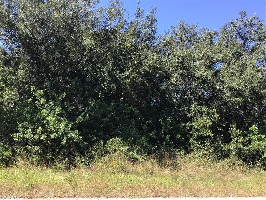 1903 Leroy AVE LEHIGH ACRES, FL 33972