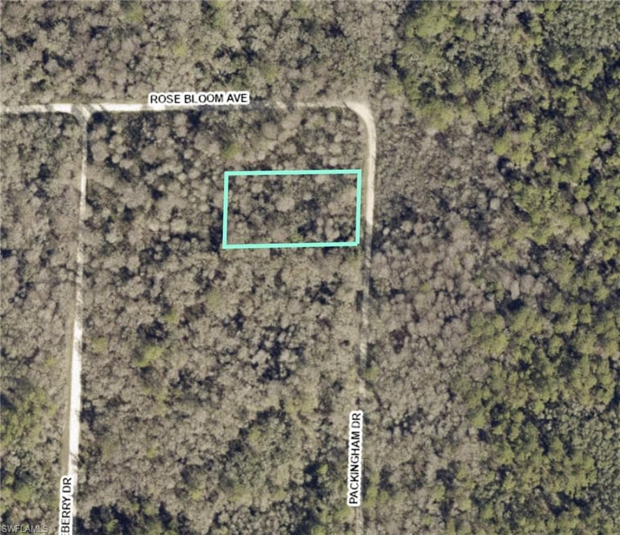 Packingham DR WEBSTER, FL 33597