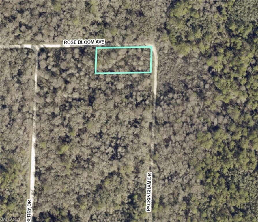 33464 Packingham DR WEBSTER, FL 33597