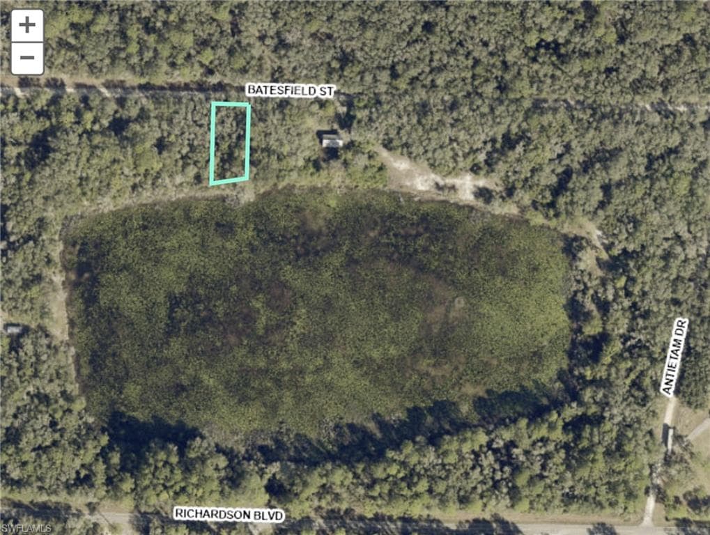 35028 Batesfield ST WEBSTER, FL 33597