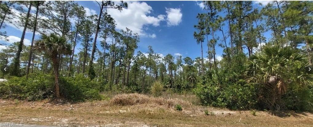 4045 12th AVE SE NAPLES, FL 34117