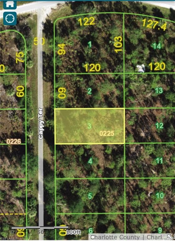 13358 Cappy TER PUNTA GORDA, FL 33955