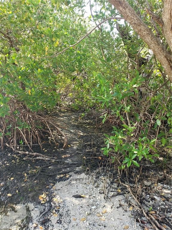 TBD Masters landing DR ST. JAMES CITY, FL 33956