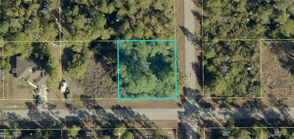 4307 E 21st ST ALVA, FL 33920