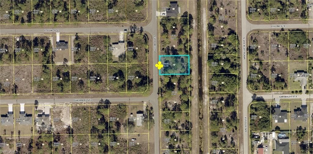 811 Puccini AVE S LEHIGH ACRES, FL 33974