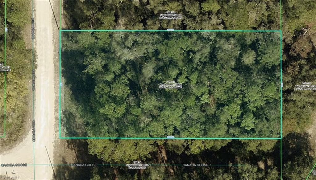 R01-221-17-3357-5520-0170 Cedarwood AVE WEEKI WACHEE, FL 34614