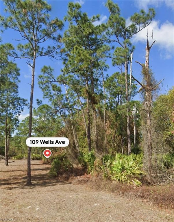 109 Wells AVE LEHIGH ACRES, FL 33936