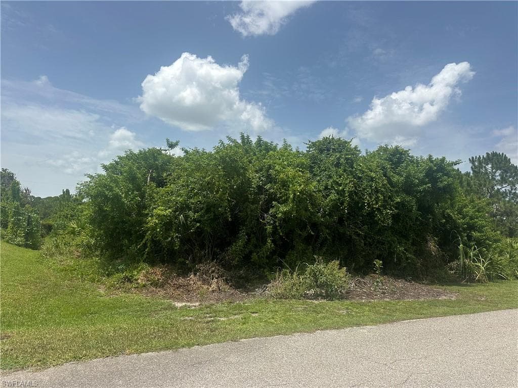 1141 Garibaldi ST E LEHIGH ACRES, FL 33974