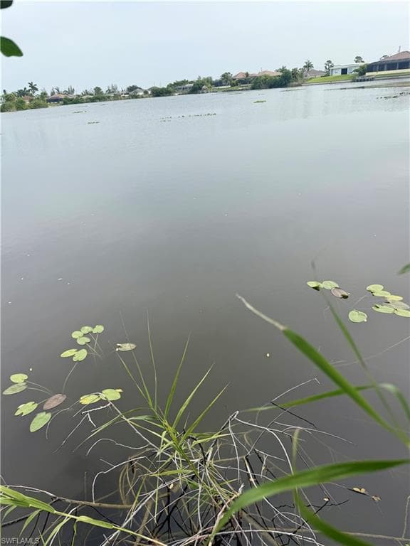 1805 Tropicana PKWY W CAPE CORAL, FL 33993