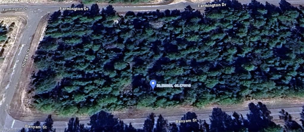 Banyam ST CHIPLEY, FL 32428