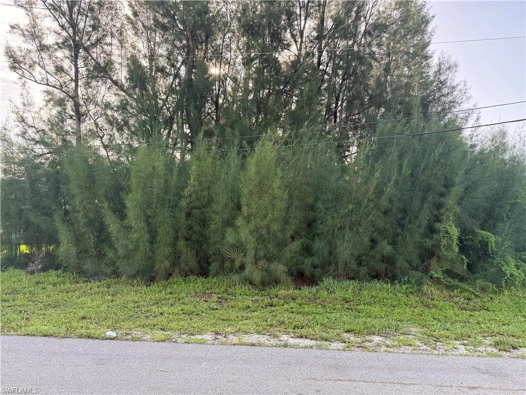 137 SW 34th AVE CAPE CORAL, FL 33991