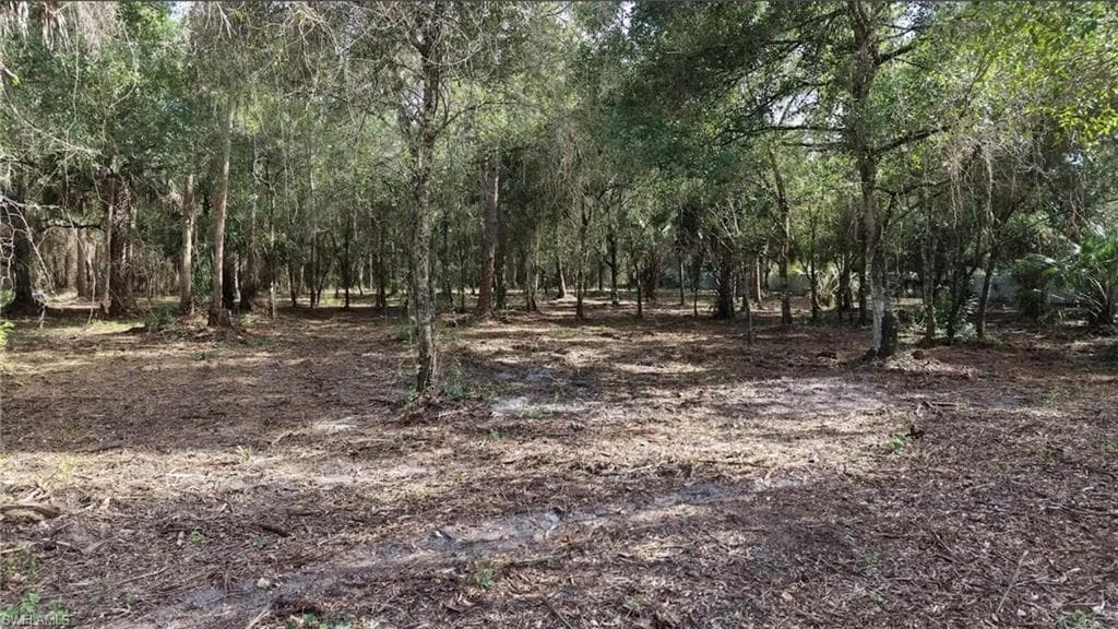 824 Woodland BLVD CLEWISTON, FL 33440