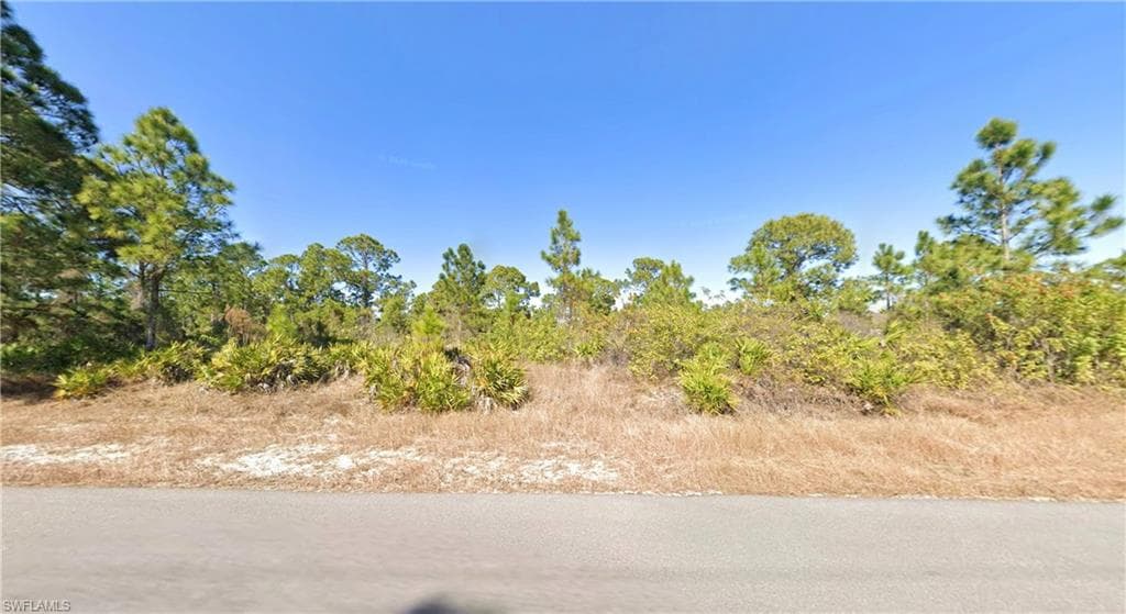 1141 Florence ST E LEHIGH ACRES, FL 33974