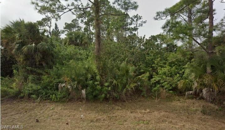 2321 Moore AVE ALVA, FL 33920