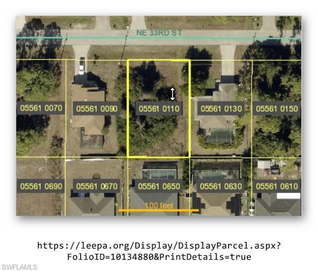 1010 NE 33rd ST CAPE CORAL, FL 33909