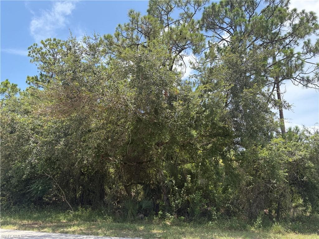 806 E 6th ST LEHIGH ACRES, FL 33972