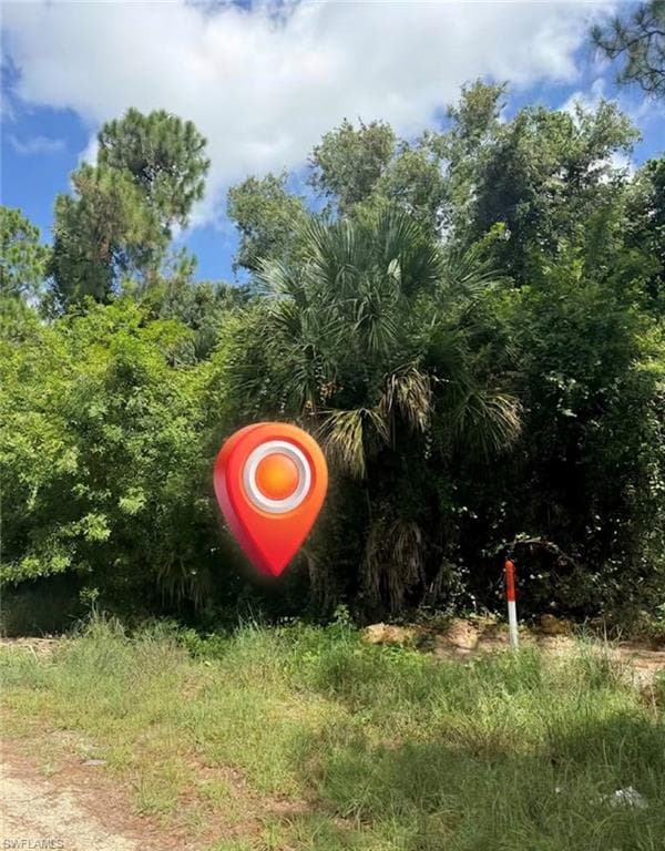 913 ABBEY ST E LEHIGH ACRES, FL 33974