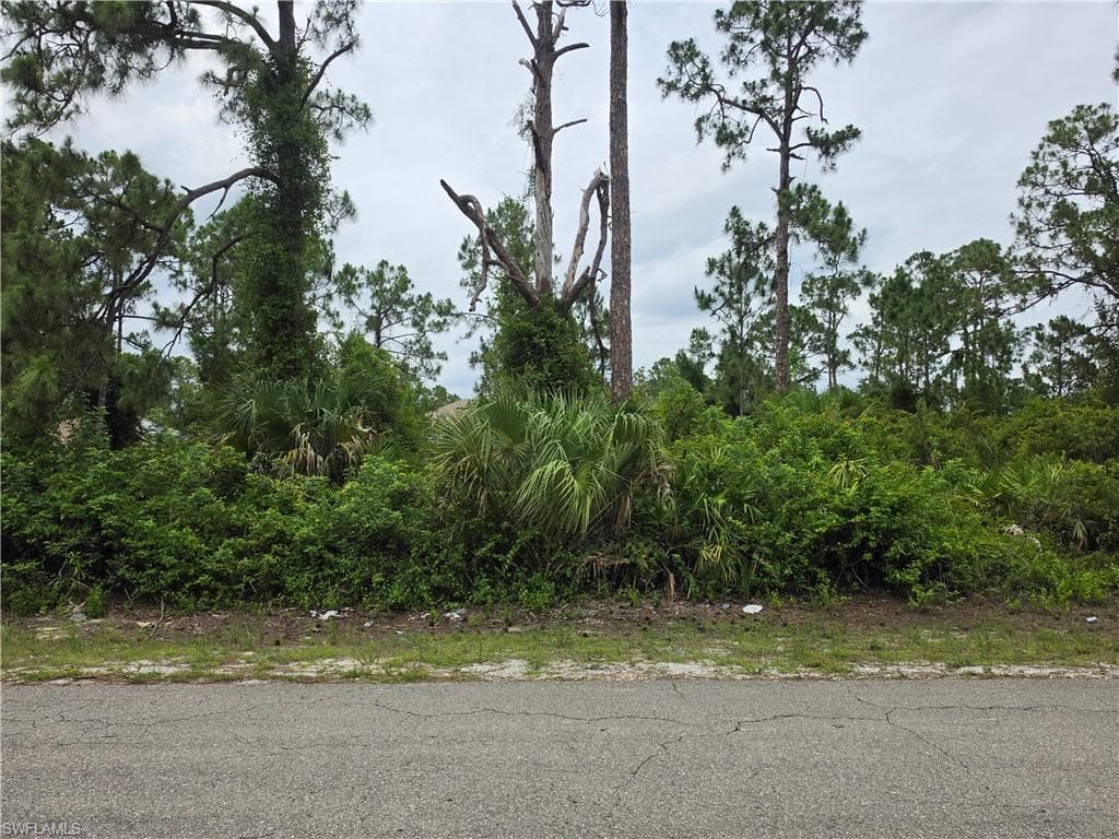 3832 17th ST W LEHIGH ACRES, FL 33971