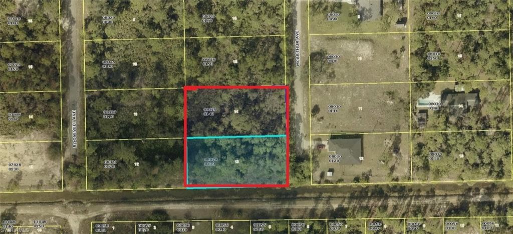 2201 AND 2203 McArthur AVE ALVA, FL 33920