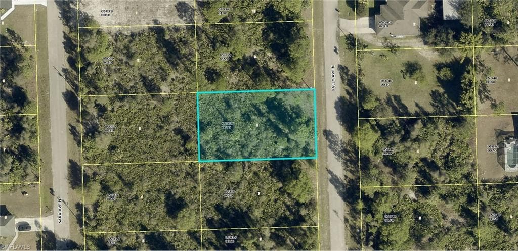 6005 Sally AVE N LEHIGH ACRES, FL 33971