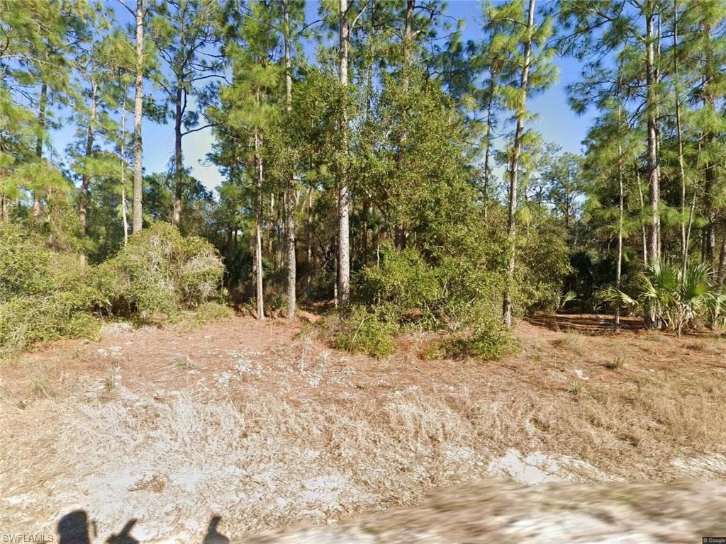 1676 Palmetto AVE LEHIGH ACRES, FL 33972